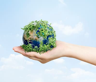 Environmental Sustainability